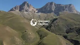 Сервисная Компания. Выращивайте овец вместе с нами!
