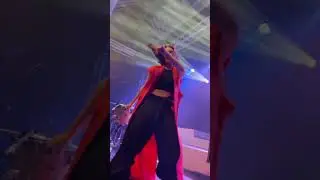WILLMAN LIVE