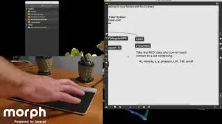 05 - Multitouch from MIDI (MPE). Max & Morph: Multitouch