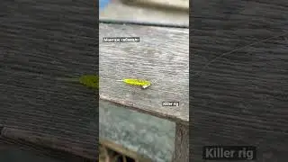 ⚠️🔥⚡️ 