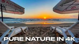 Black Sea Primorsko Sunrise ASMR 4K Sound Of Nature