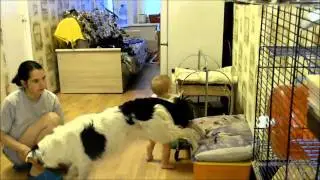 Занятия дома