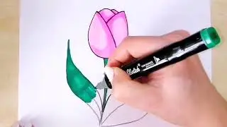 Как легко нарисовать тюльпан