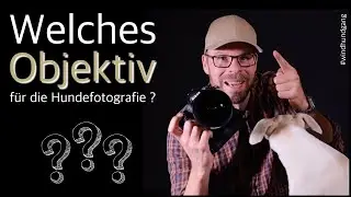 Welches Objektiv benutze ich für die Hundefotografie im Studio