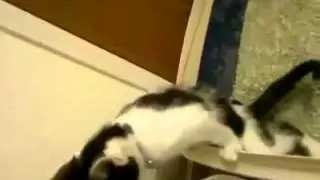 Pee like BOSS