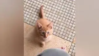 Новый член нашей семьи