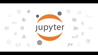 Jupyter Notebooks