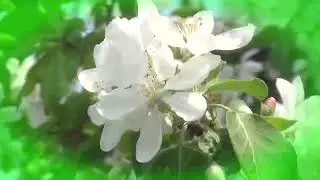 Июнь
