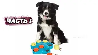 Educational toy for dogs / 