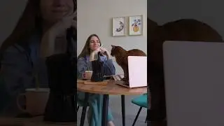 Давайте знакомиться 🤗 Мой карьерный переход из профессии маркетолог в иллюстраторский мир 💫 #стоки