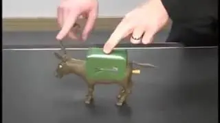 ШОК конь курит осла всем смотреть