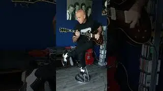 Storm troopin Ted Nugent