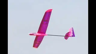 IZI-Wing Pink&Blue