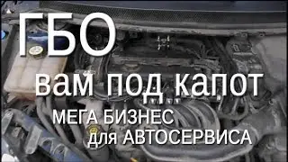 BUSINESS ON GAS, GAS CYLINDER EQUIPMENT