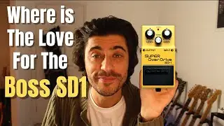 Why Isn't The BOSS SD1 More Popular?