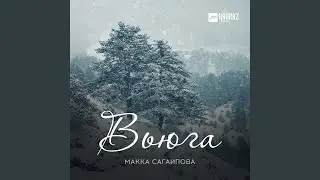 Вьюга