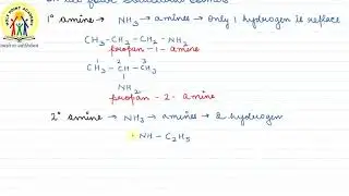 43 | PROBLEM SOLVING 2