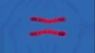 Ultimate Bass Hunter Techno Song