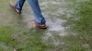 Rainy Season 24 | Stock Free Footages | No Copyright | HD Royalty Free Videos