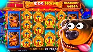 ПОЙМАЛ ЗАНОС В THE DOG HOUSE MEGAWAYS