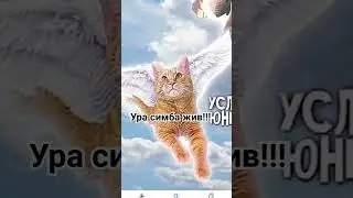 ура симба жив