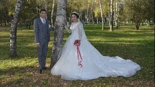 Цыганская Свадьба 5 11 2019 г  г  Изобильный Васи и Ляли
