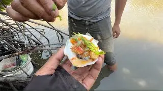 Harvesting Fresh Oysters and Eat Fresh Oyster with Spicy Sauce