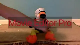 chantilly lane touki toucan Demo (ULTRA RARE)