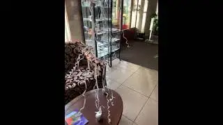 Ленты от шаров воспарили