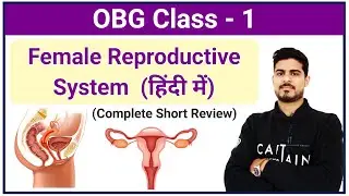 Female Reproductive System | OBG -1