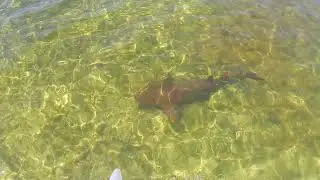 August  10 2024 key Largo