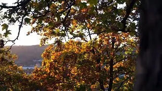 Autumn in Germany  (Impressionvideo) // T-Pictures