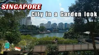 SINGAPORE BEAUTIFUL CITY IN NATURE LOOK | WALKING TOUR AROUND BUKIT PANJANG AREA AND PARK(so cool)