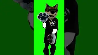 Jasper jackal OwO Dogo Everyday
