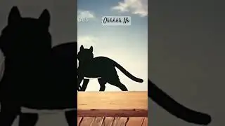 birds Vs cat 