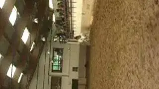 fete du cheval la clairiere du findez marion fripouille