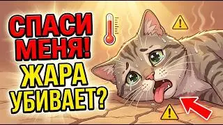 Жара у кошек: как распознать перегрев и спасти питомца?