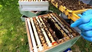 Bought NUC General Inspection Wednesday 1st July 2020