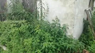 Обзор деревенского дома.