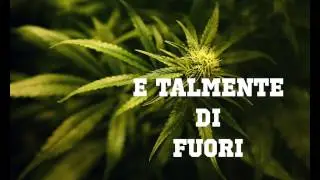 BARRET-AMNESIA (Lyrics video) 2016