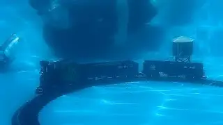 RUNNING MY TRAIN UNDERWATER