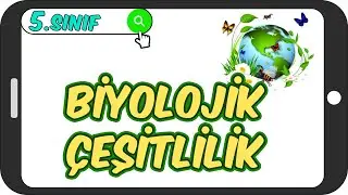 Biyolojik Çeşitlilik  / Detaylı Konu Anlatımı 🌿 5.Sınıf Fen 
