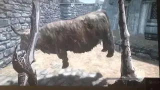 Skyrim randomness 1
