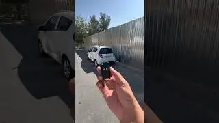 25 августа 2024 г.