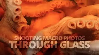 How to photograph macro subjects behind glass! (Preserved in jars!)