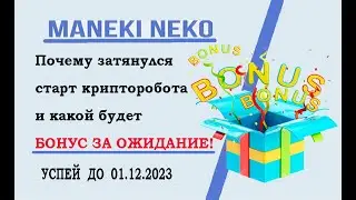 Почему затянулся старт крипторобота и какой будет бонус за ожидание