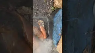 Впервые коптил скумбрию
