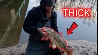 These CHUNKY Fish TOOK OVER THE RIVER!