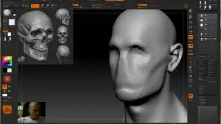 Моделиране на глава в Zbrush - похвати и често срещани грешки