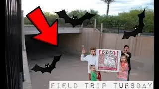 REAL LIFE BAT CAVE AND ARIZONA'S LARGEST PIZZA!!! // Field Trip Tuesday